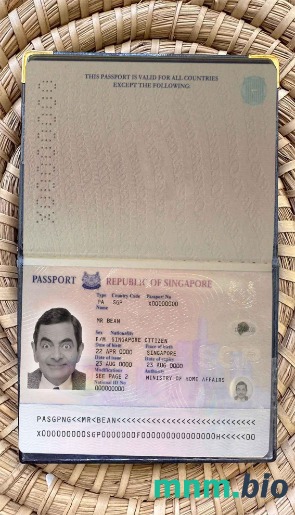 Singapur paszport (2006-2017) wygląd zdjęcia pliki PSD, skan i fotografowany obraz